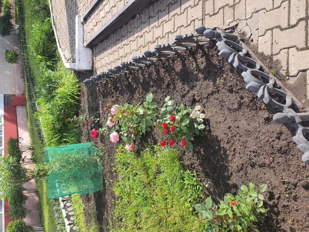 Территория после ремонта - фото 8