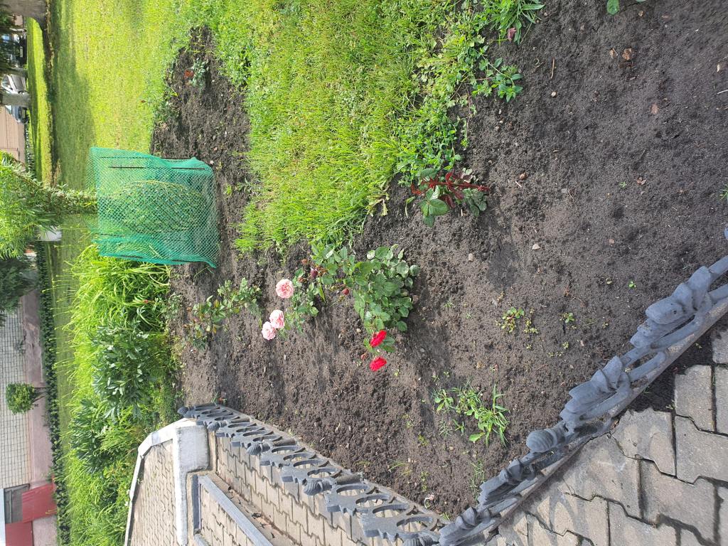 Территория после ремонта - фото 9