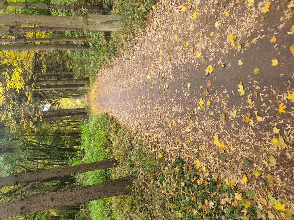 Территория после ремонта - фото 16